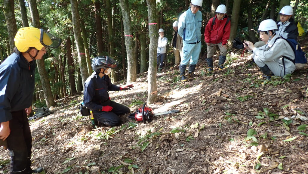 伐採の様子