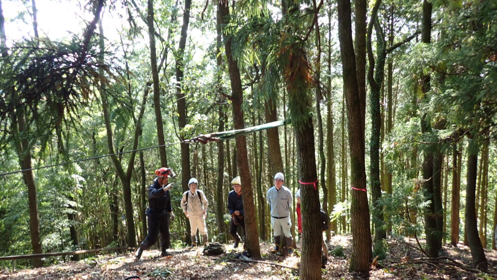 伐採の様子